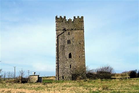 Ballyhealy Castle on the Norman Way