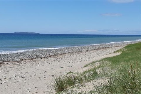 view of Little Saltee from Ballyhealy  beach